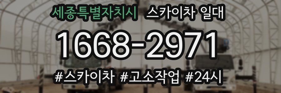 세종특별자치시 스카이차 일대
