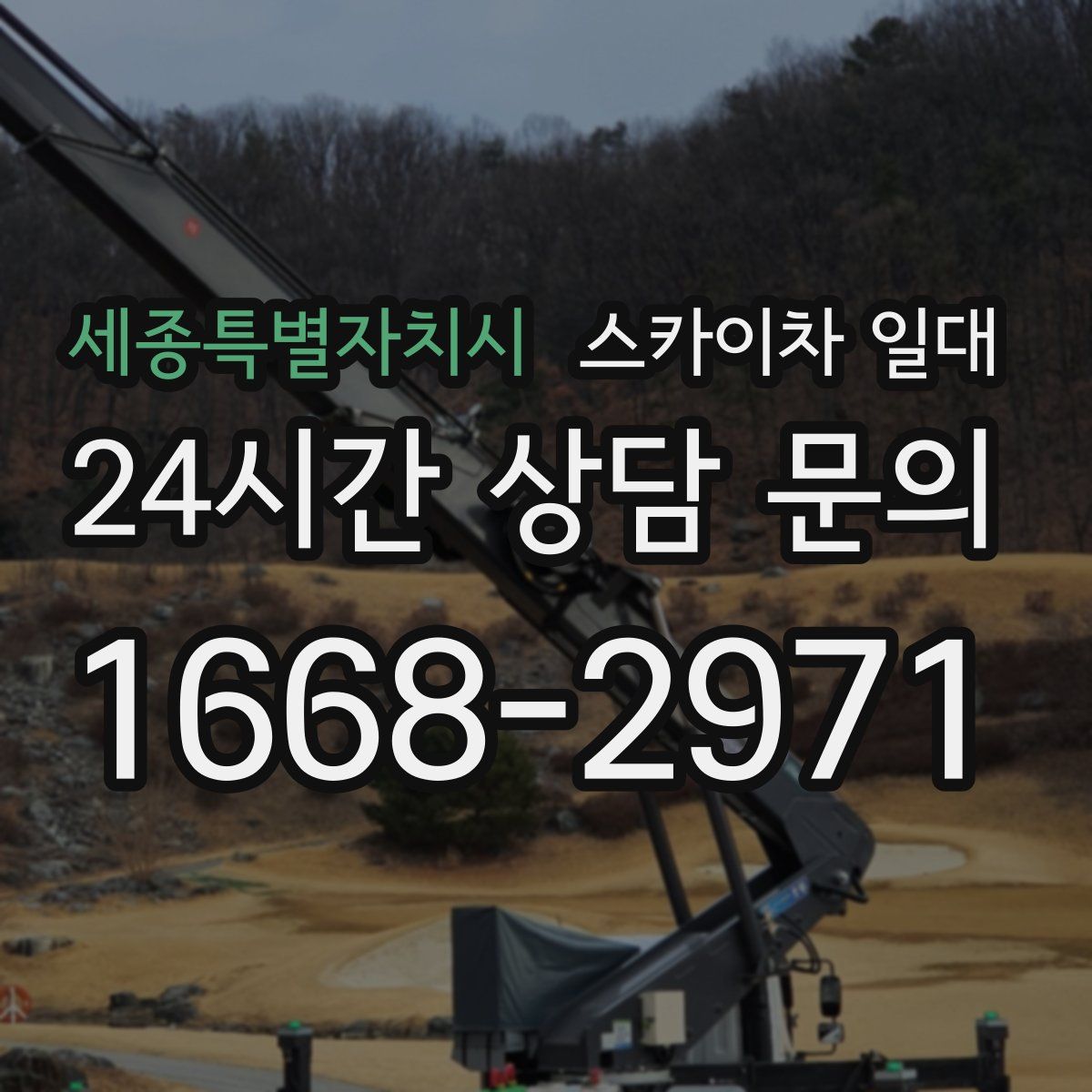 세종특별자치시 스카이차 일대