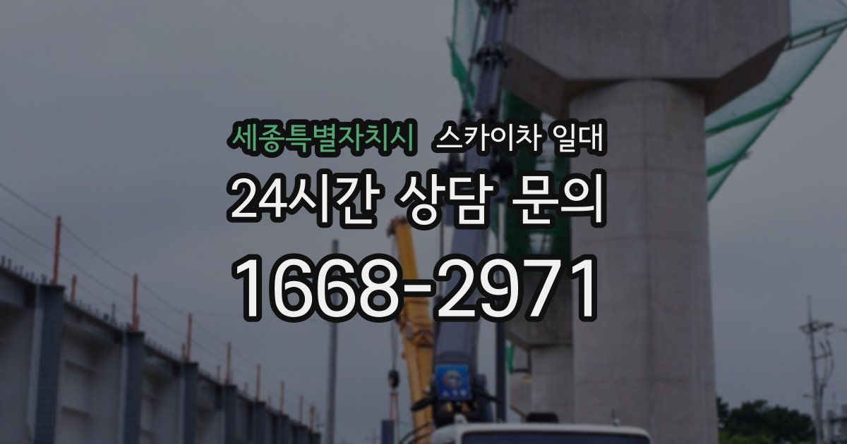 세종특별자치시 스카이차 일대