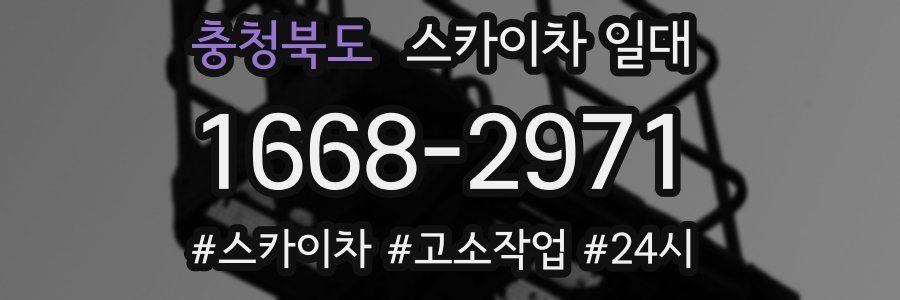 충청북도 스카이차 일대