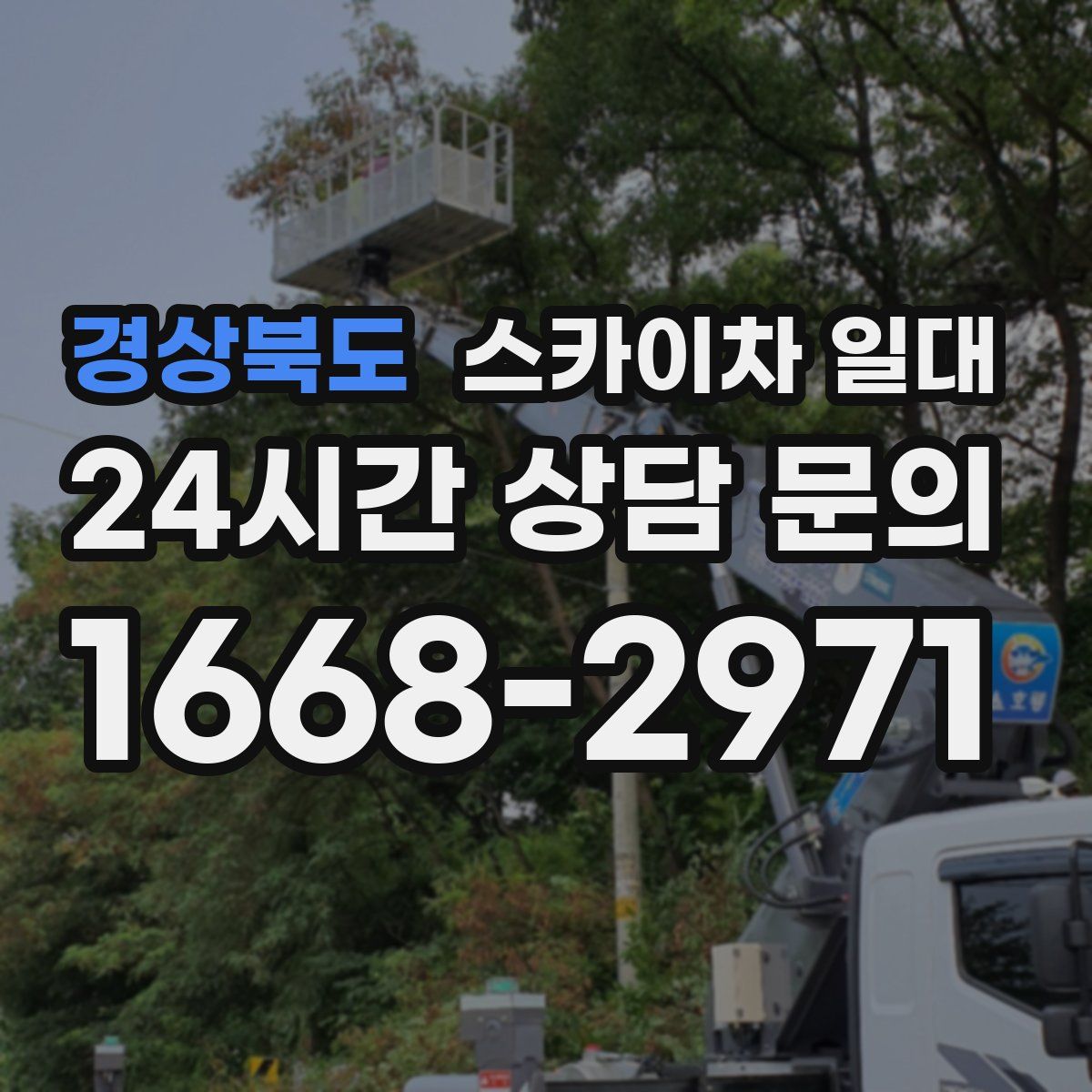 경상북도 스카이차 일대