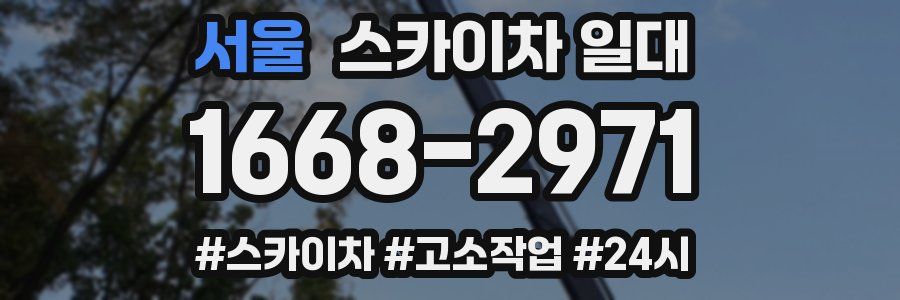 서울 스카이차 일대