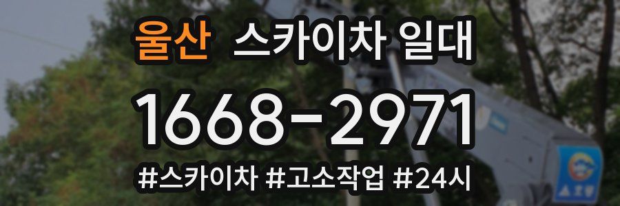 울산 스카이차 일대