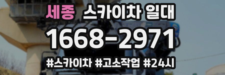 세종 스카이차 일대