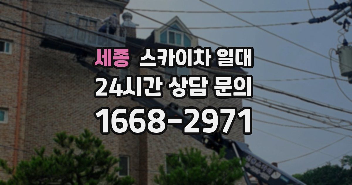 세종 스카이차 일대