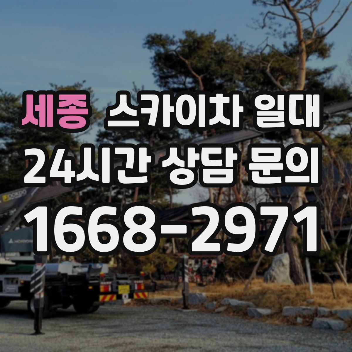 세종 스카이차 일대