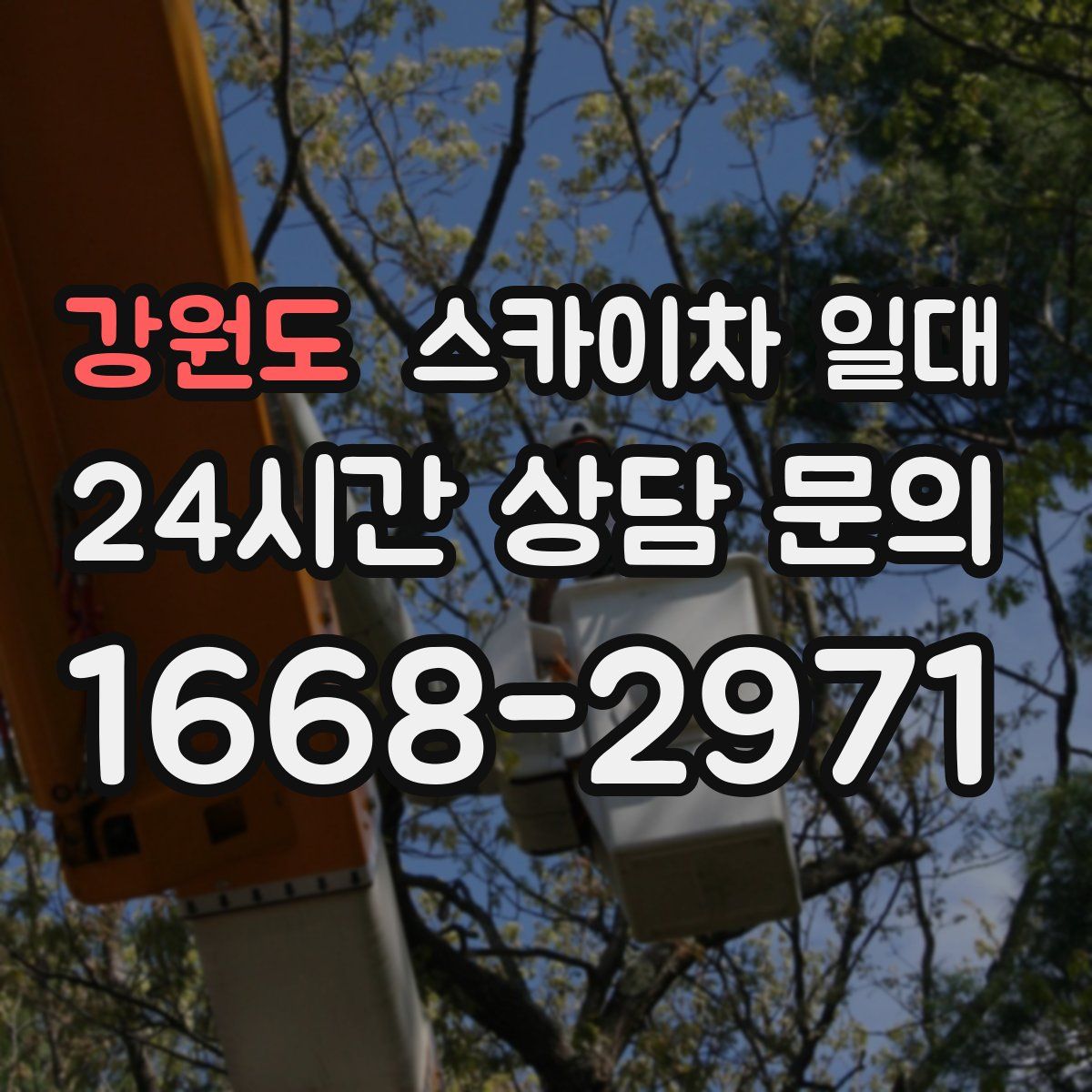 강원도 스카이차 일대