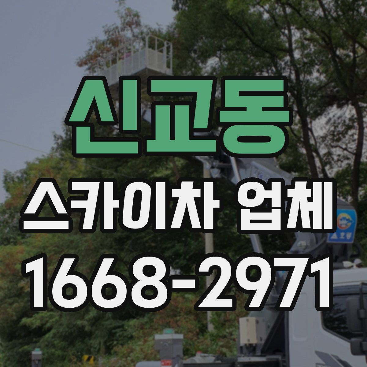 신교동 스카이차 업체