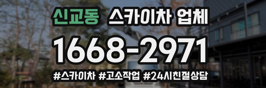 신교동 스카이차 업체
