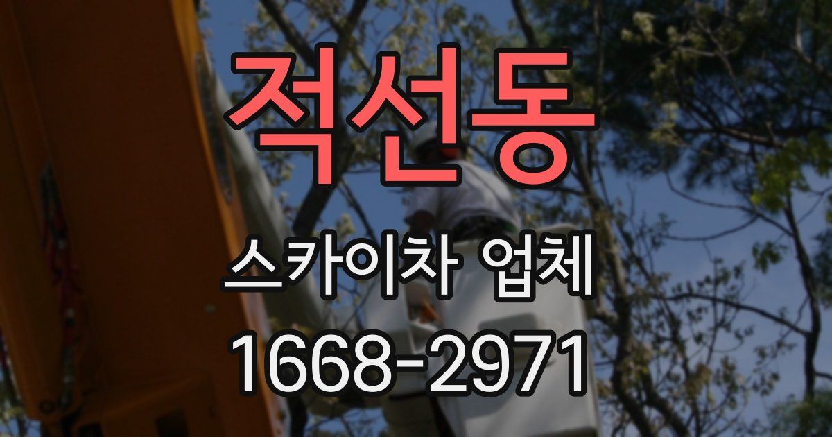 적선동 스카이차 업체