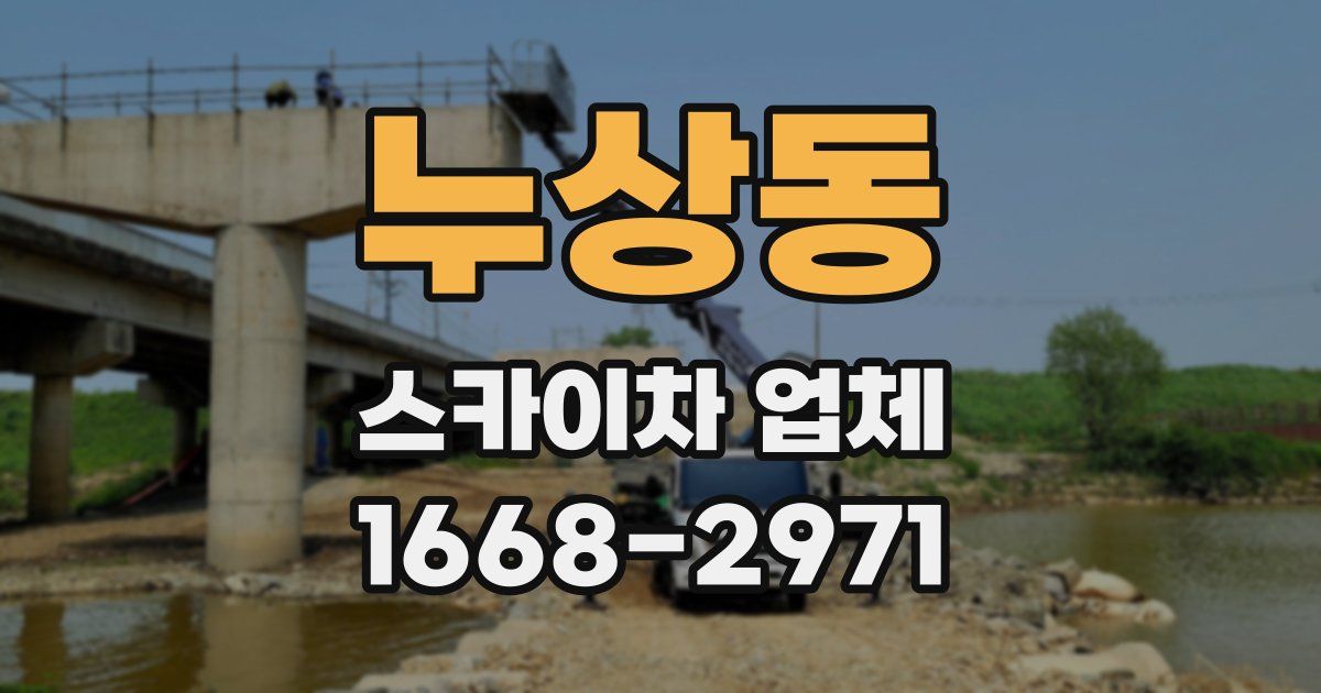 누상동 스카이차 업체