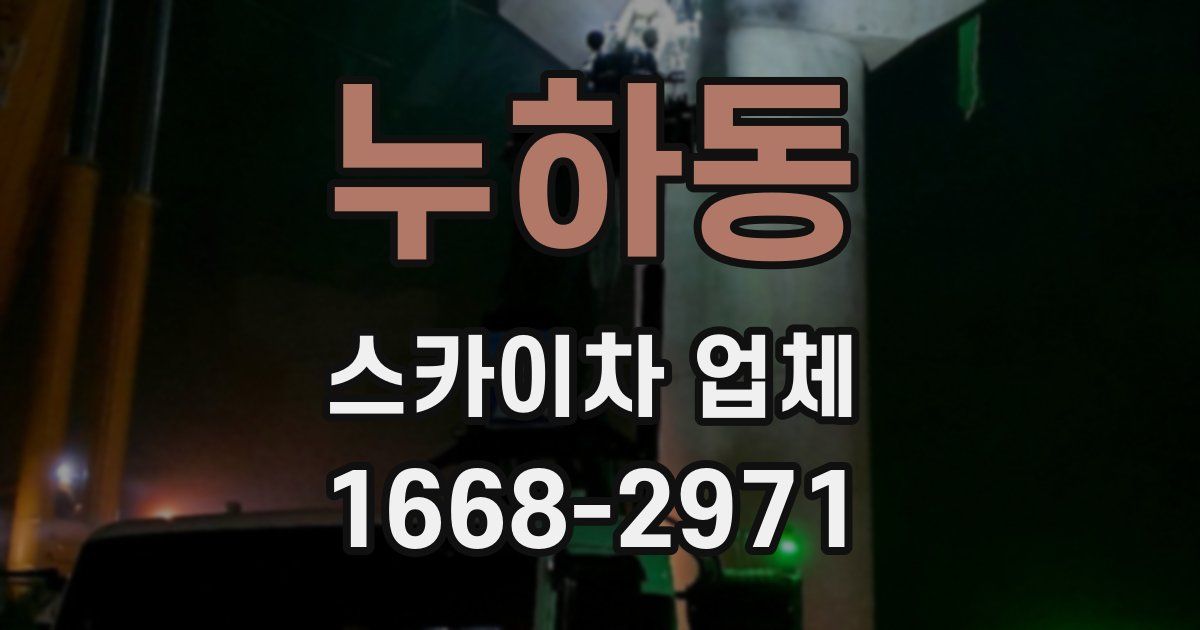 누하동 스카이차 업체