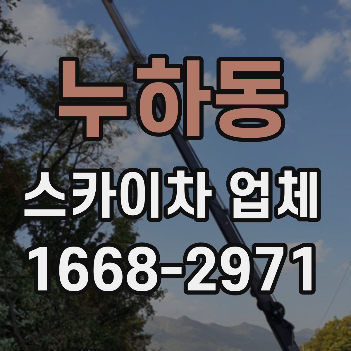 누하동 스카이차 업체