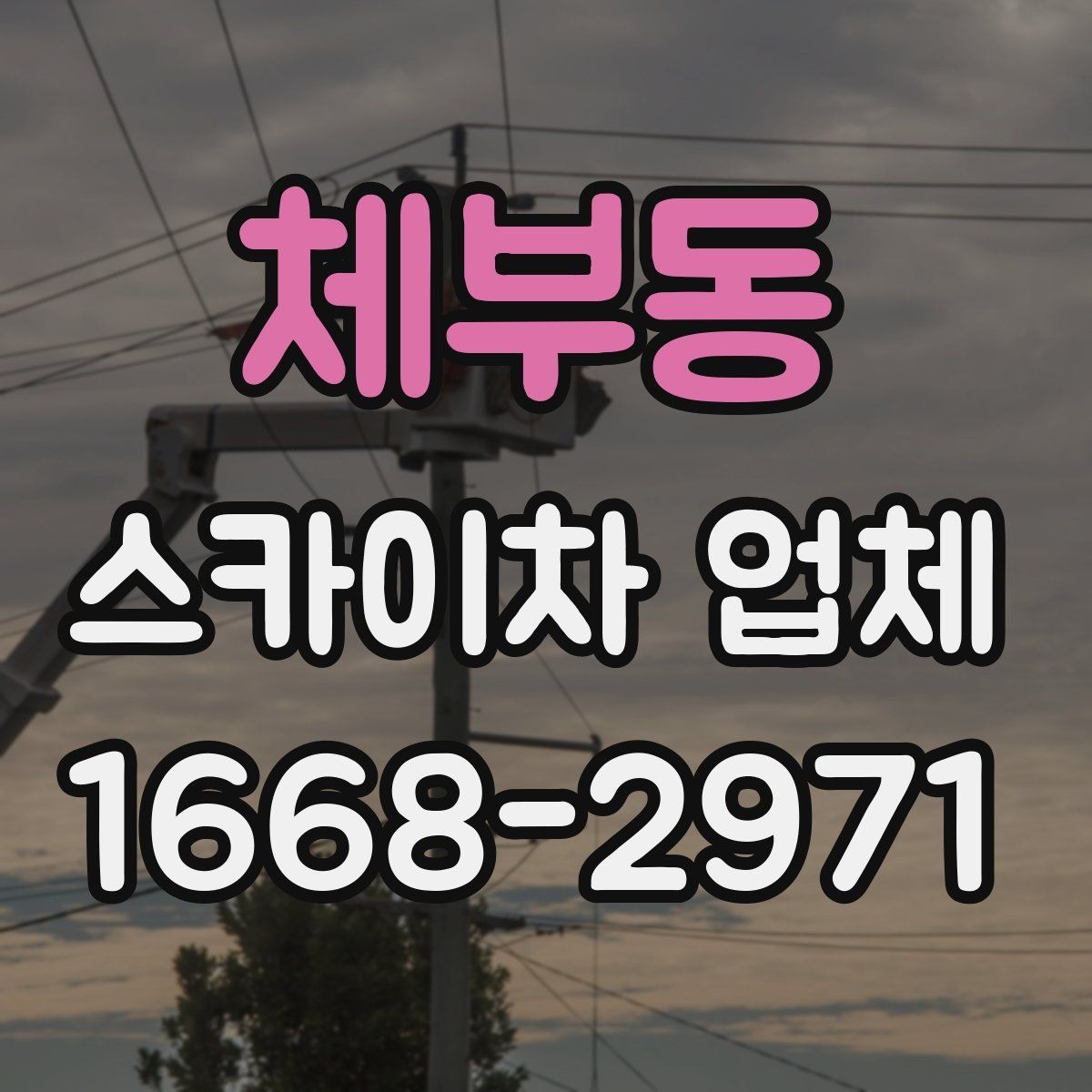 체부동 스카이차 업체 선정에 도움이 되는 비교 포인트