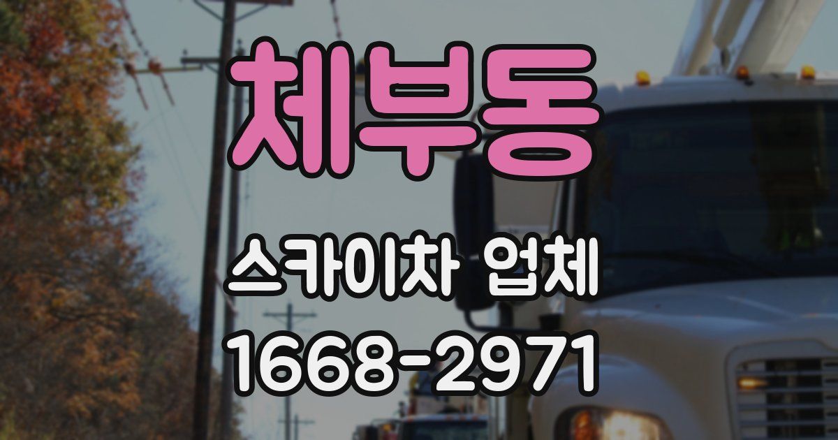 체부동 스카이차 업체