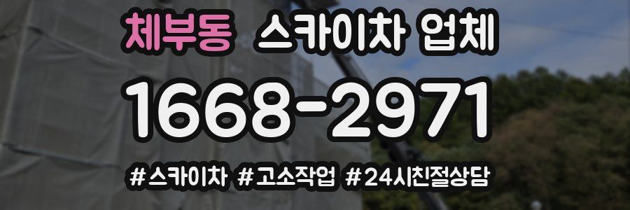체부동 스카이차 업체