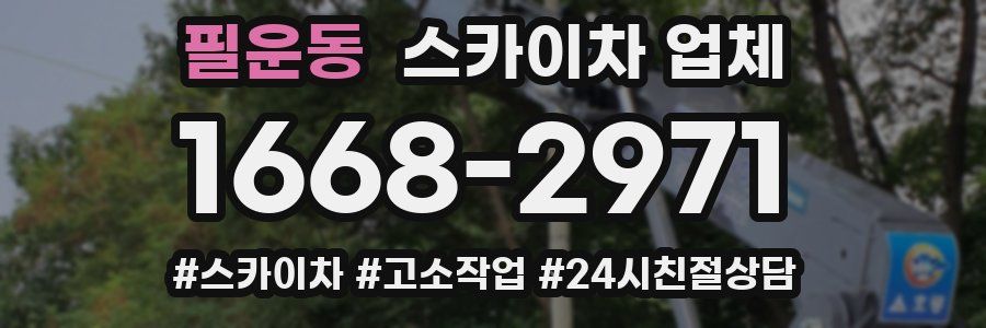 필운동 스카이차 업체