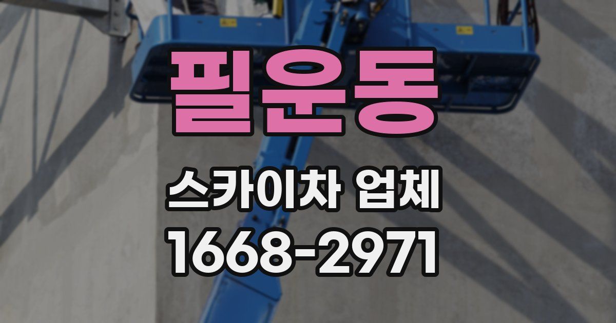 필운동 스카이차 업체