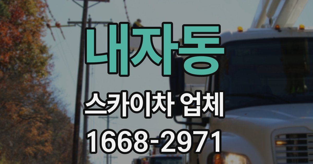 내자동 스카이차 업체