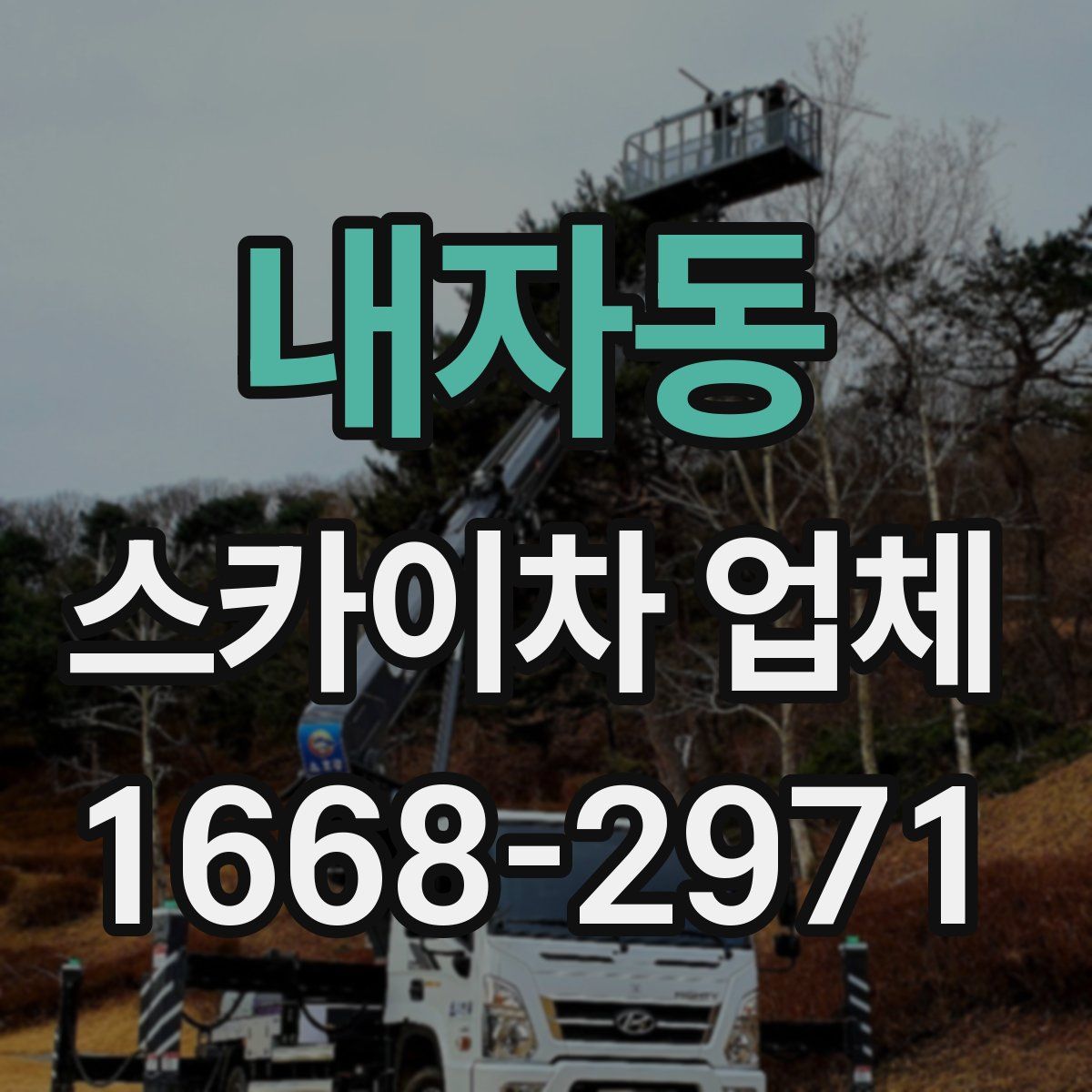 내자동 스카이차 업체