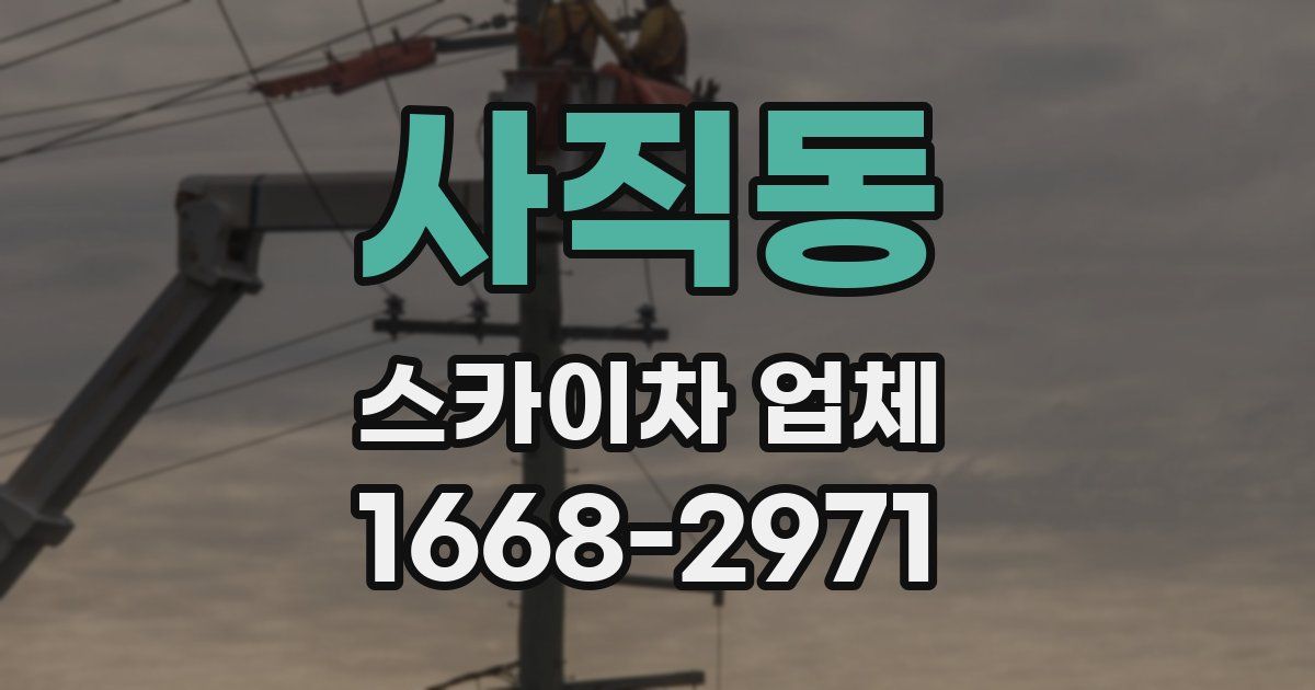 사직동 스카이차 업체