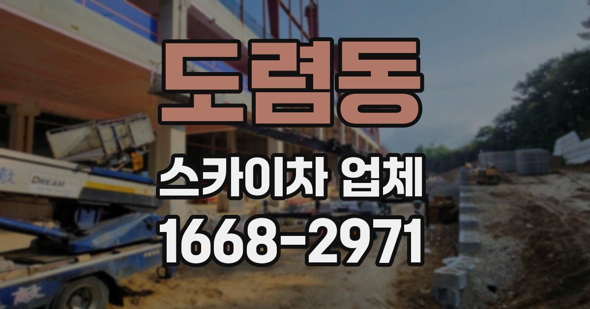 도렴동 스카이차 업체