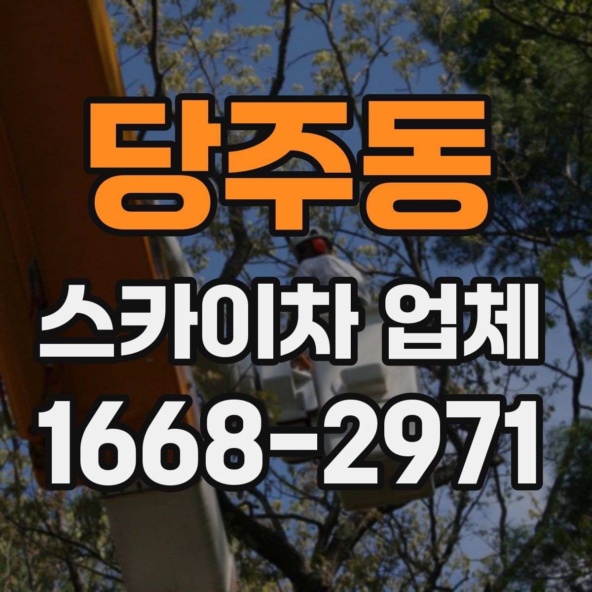 당주동 스카이차 업체