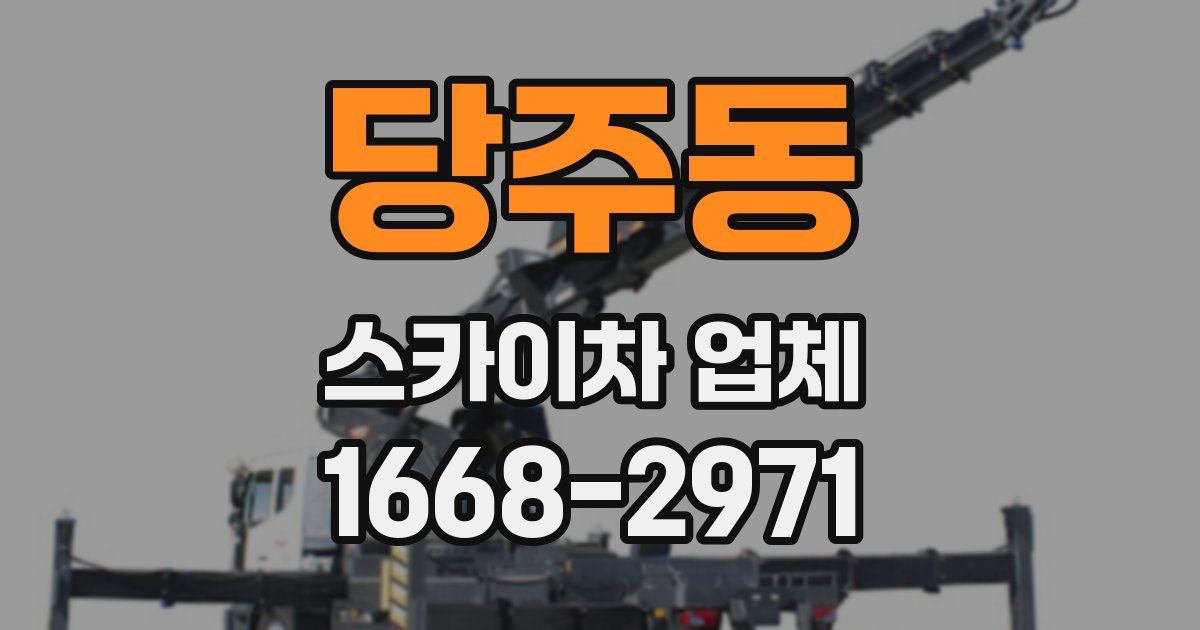 당주동 스카이차 업체