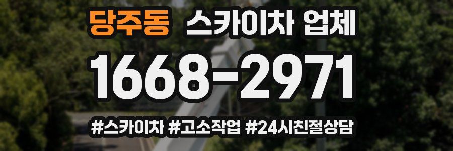 당주동 스카이차 업체