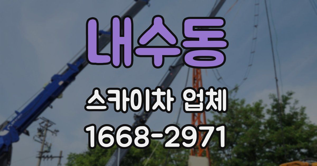 내수동 스카이차 업체
