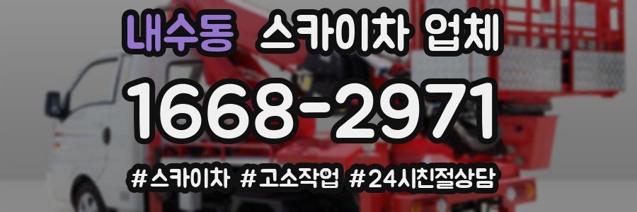 내수동 스카이차 업체