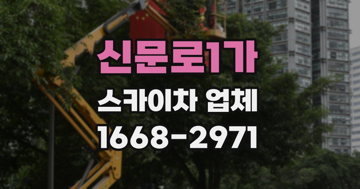 신문로1가 스카이차 업체