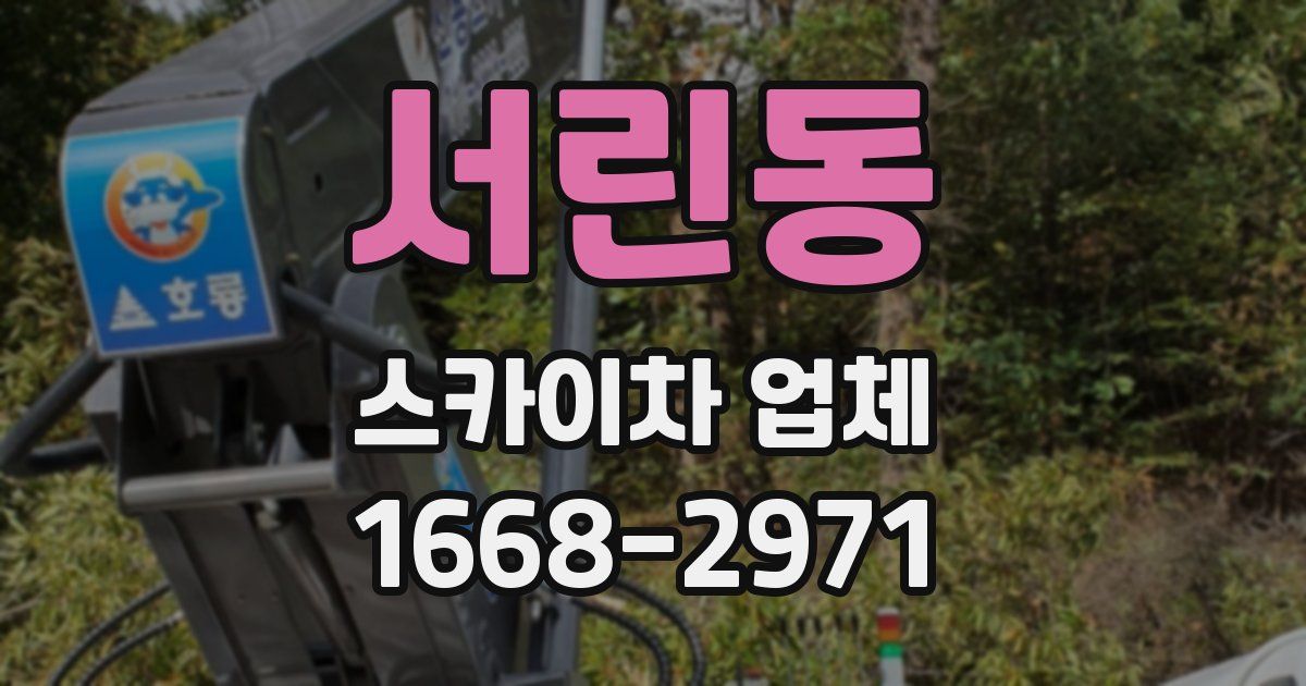 서린동 스카이차 업체