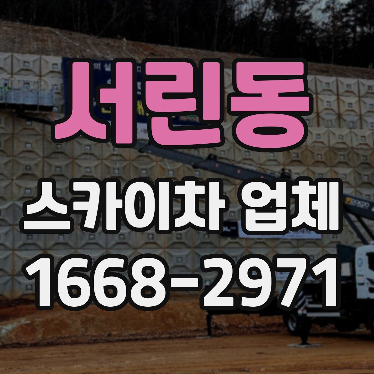 서린동 스카이차 업체