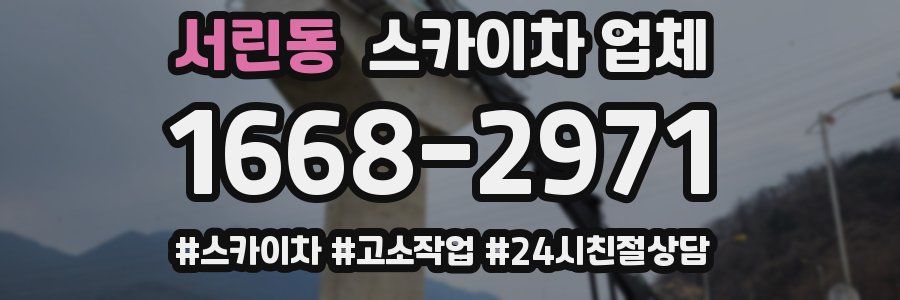 서린동 스카이차 업체