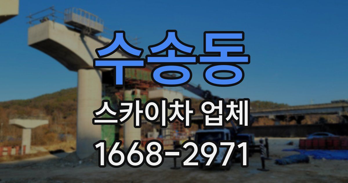 수송동 스카이차 업체