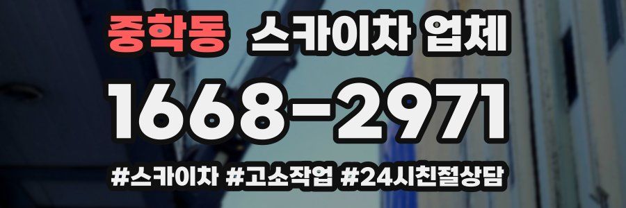 중학동 스카이차 업체