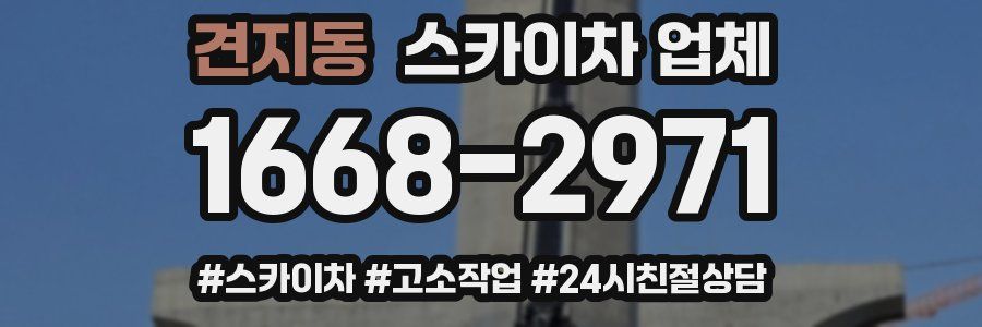 견지동 스카이차 업체