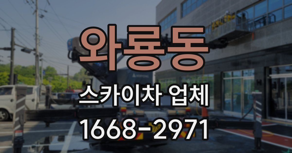 와룡동 스카이차 업체