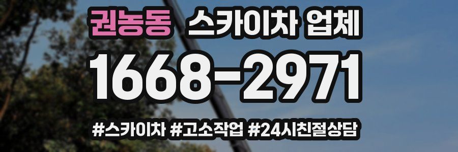 권농동 스카이차 업체
