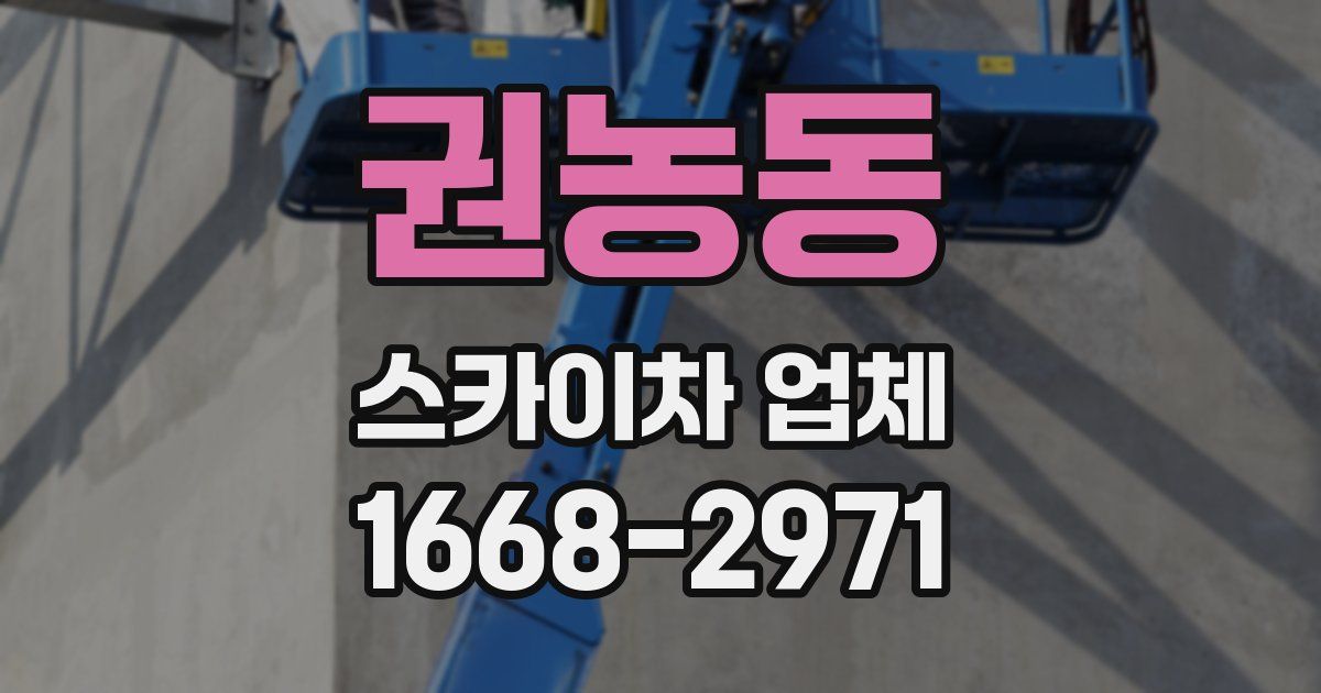 권농동 스카이차 업체
