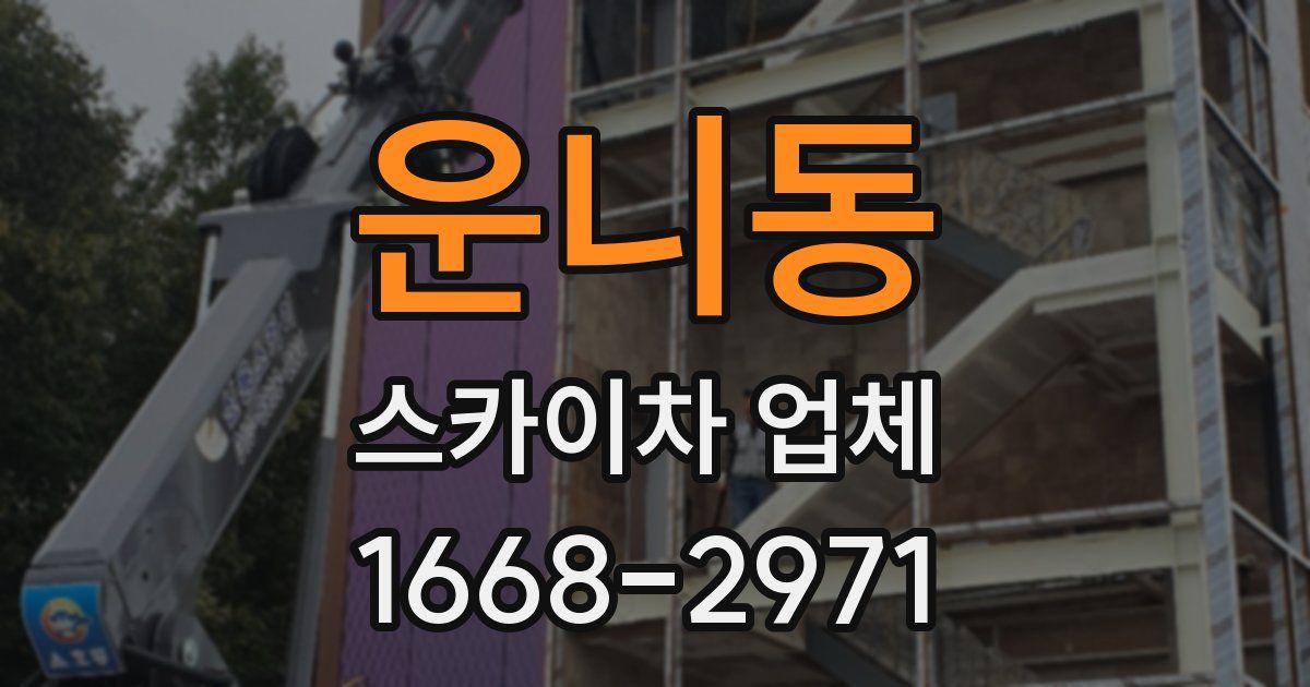 운니동 스카이차 업체