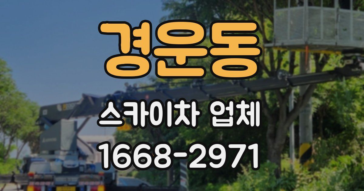 경운동 스카이차 업체