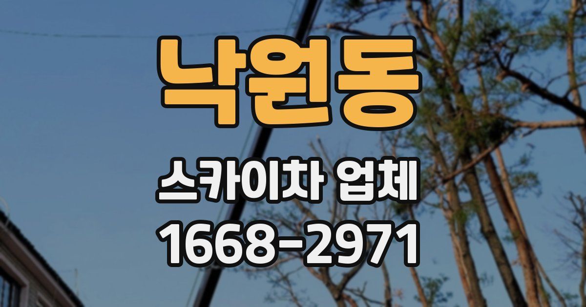 낙원동 스카이차 업체