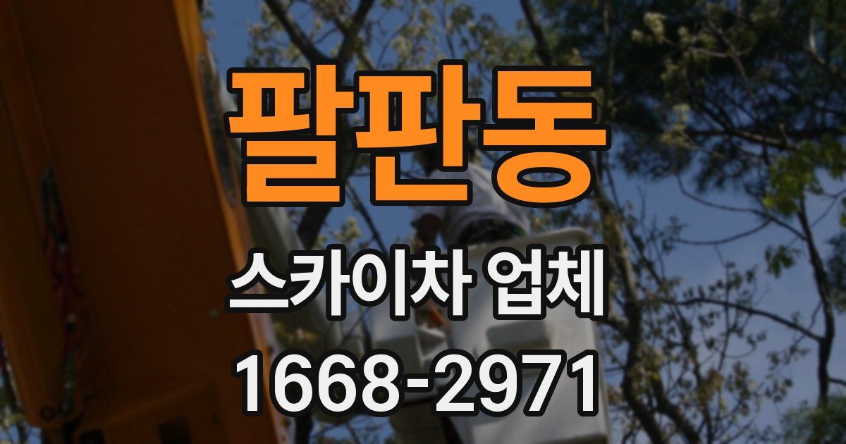 팔판동 스카이차 업체