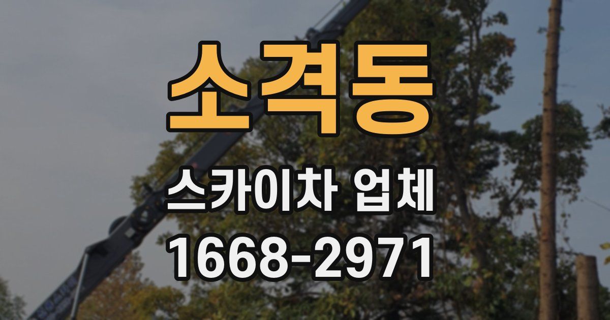 소격동 스카이차 업체