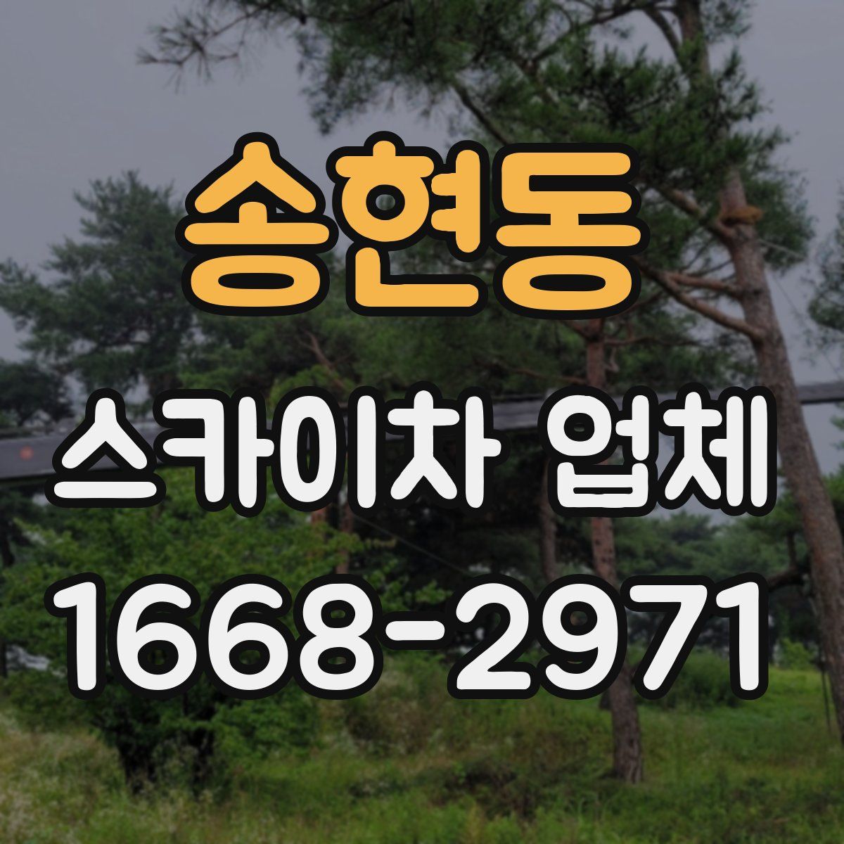 송현동 스카이차 업체