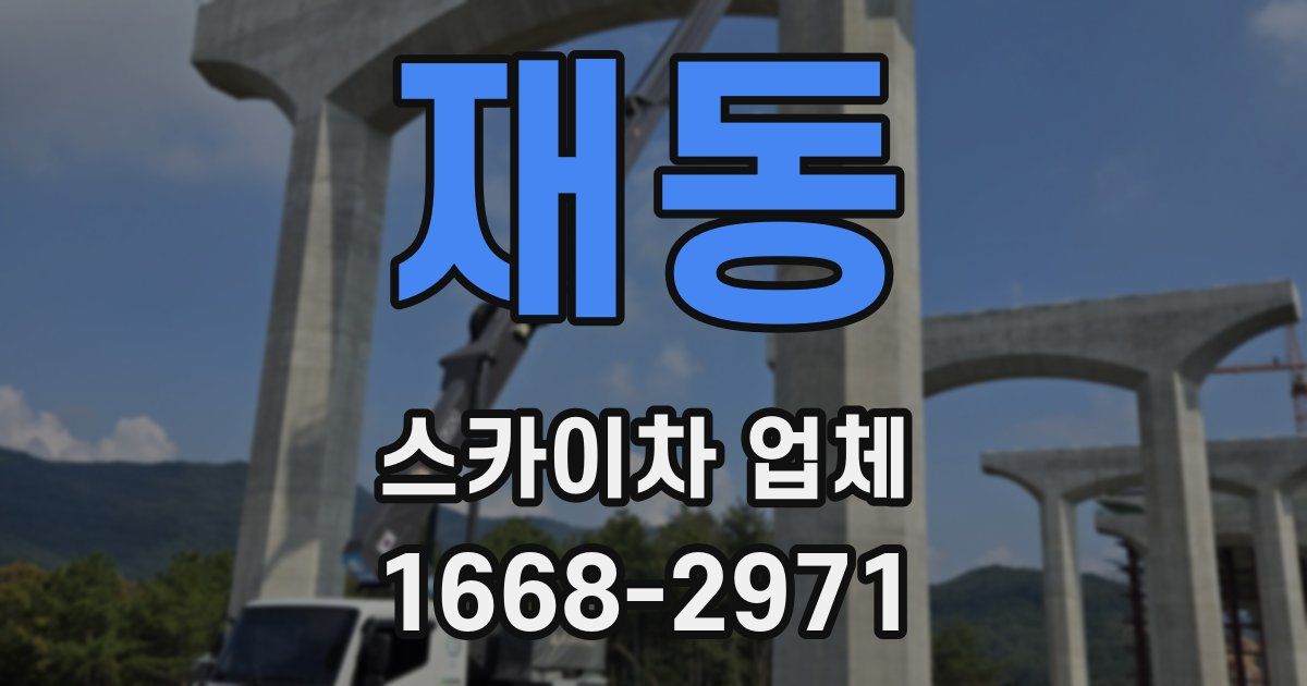 재동 스카이차 업체