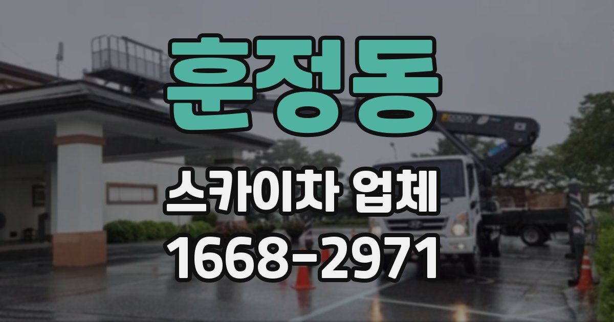 훈정동 스카이차 업체