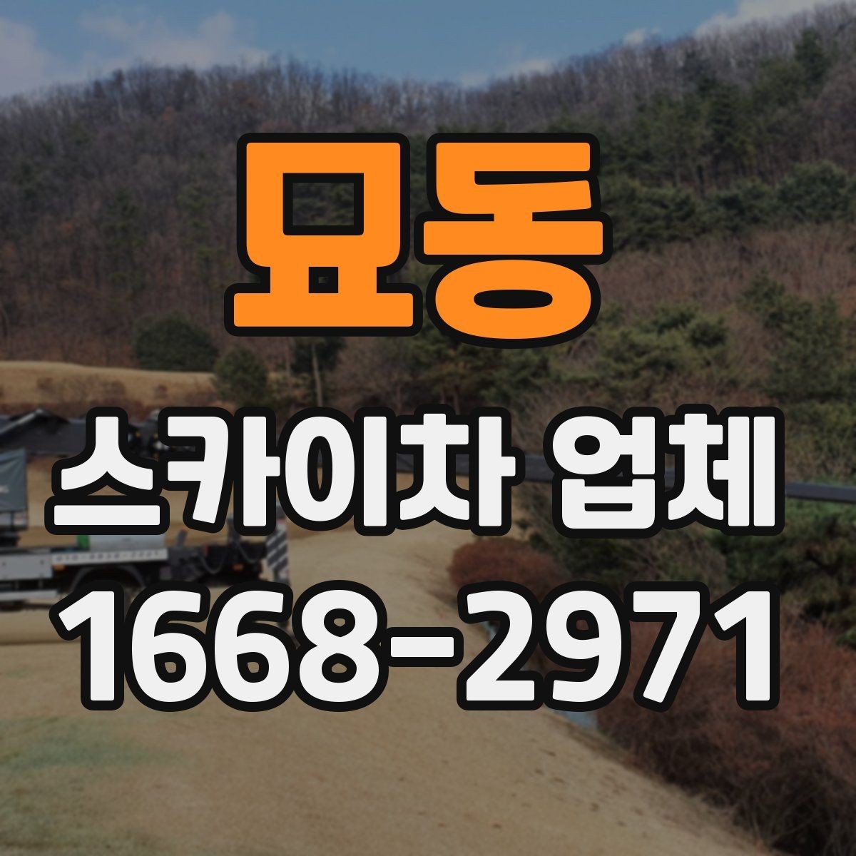 묘동 스카이차 업체 예약 전에 알아두면 좋은 점